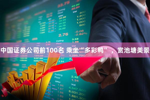 中国证券公司前100名 乘坐“多彩鸭” ，赏池塘美景