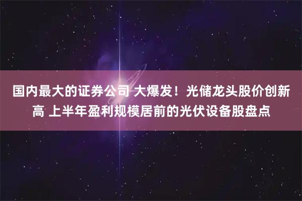 国内最大的证券公司 大爆发！光储龙头股价创新高 上半年盈利规模居前的光伏设备股盘点